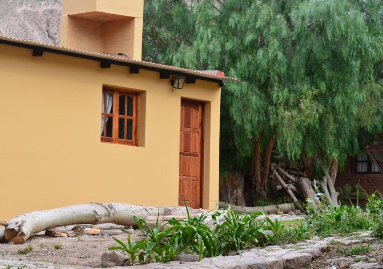 Hostal La Albahaca Tilcara Zewnętrze zdjęcie